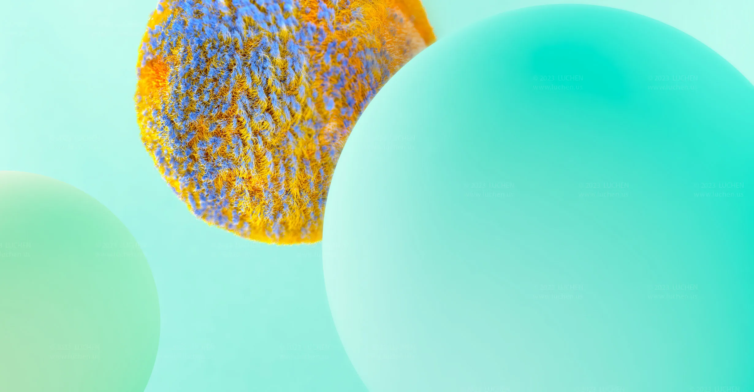 Demo Image